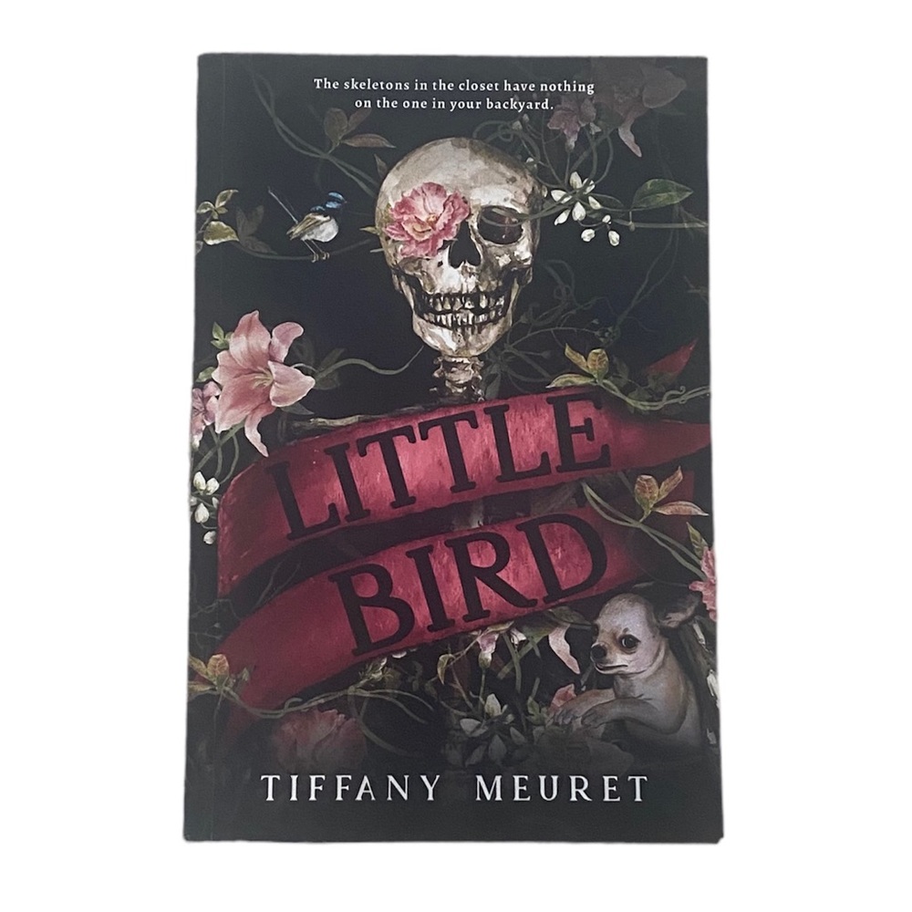 Book - Little Bird by Tiffany Meuret Fiction Book Horror